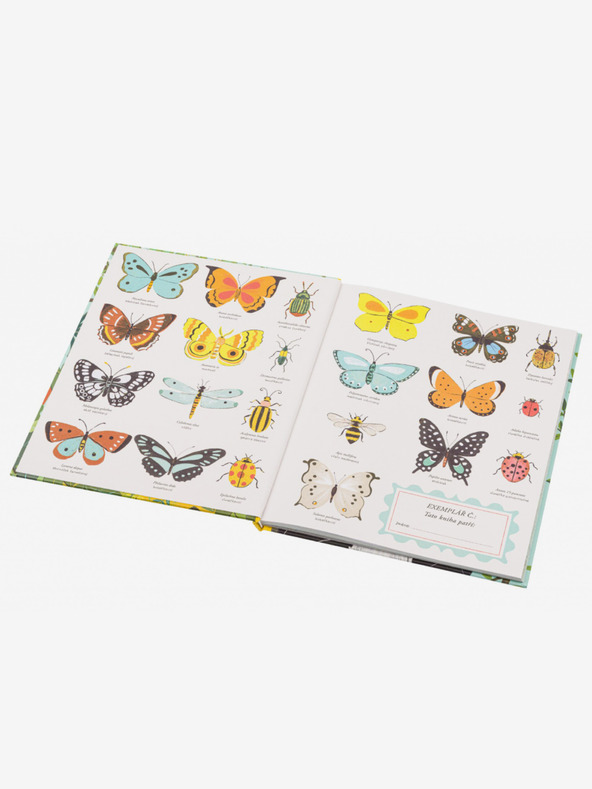 ELLA & MAX DESPRE ORIGINEA SPECIILOR - Teoria lui Darwin pentru copii