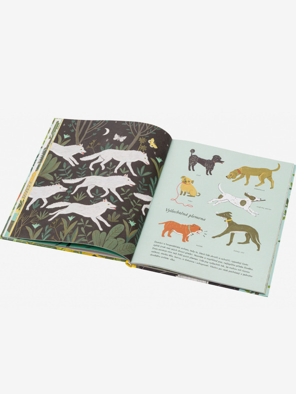 ELLA & MAX DESPRE ORIGINEA SPECIILOR - Teoria lui Darwin pentru copii