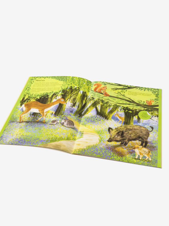 ELLA & MAX Arici, urechi și alte creaturi blănoase - Carte de abțibilduri