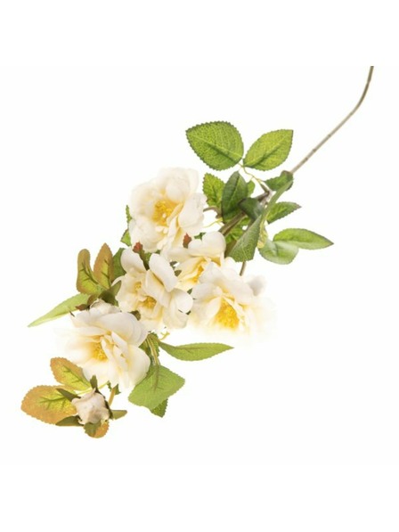 Casa de Engel Trandafiri artificiali, 36/216