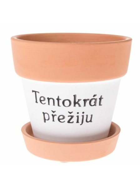 Casa de Engel Înveliş ceramic pentru ghiveci cu farfurioară, 0/24