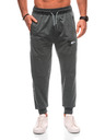 Edoti Pantaloni sport bărbați 1506P - gri OTHER