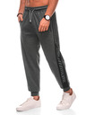 Edoti Pantaloni sport bărbați 1506P - gri OTHER