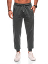 Edoti Pantaloni sport bărbați 1506P - gri OTHER