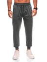 Edoti Pantaloni sport bărbați 1506P - gri OTHER