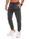 Edoti Pantaloni sport bărbați 1506P - gri OTHER