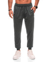 Edoti Pantaloni sport bărbați 1506P - gri OTHER