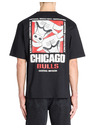 Celio Tricou NBA Chicago Bulls Celio