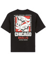 Celio Tricou NBA Chicago Bulls Celio