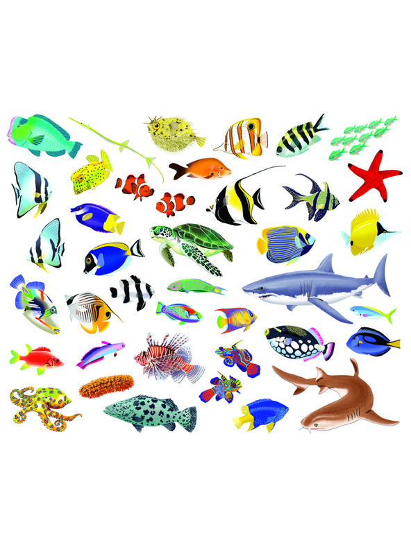 BAAGL  Citește și lipește - SUB SUPRAFAȚĂ, carte cu autocolante