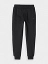 4F Pantaloni de trening pentru băieți 4F