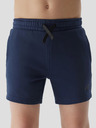 4F Pantaloni de trening băieți 4F