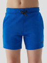 4F Pantaloni de trening băieți 4F