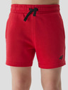 4F Pantaloni de trening băieți 4F