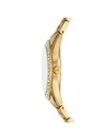 Michael Kors Ceasuri pentru femei Michael Kors HARLOWE MK4870
