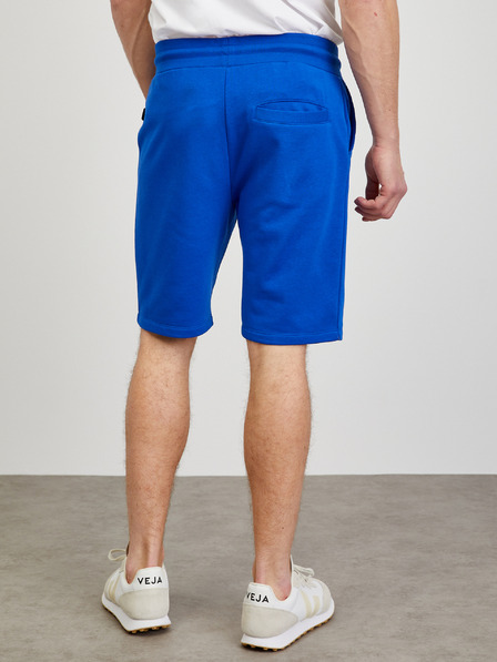 ZOOT.lab Pantaloni de trening albastru pentru bărbați ZOOT.lab Jordan