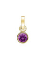 Rosefield Rosefield pandantiv de culoare aurie Birthstone Februarie