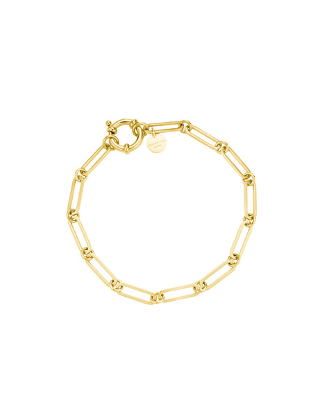 Rosefield Brățară în culoare aurie Chunky Chain Rosefield JBRCG-J607