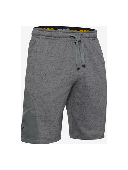 Under Armour Project Rock Pantaloni scurți